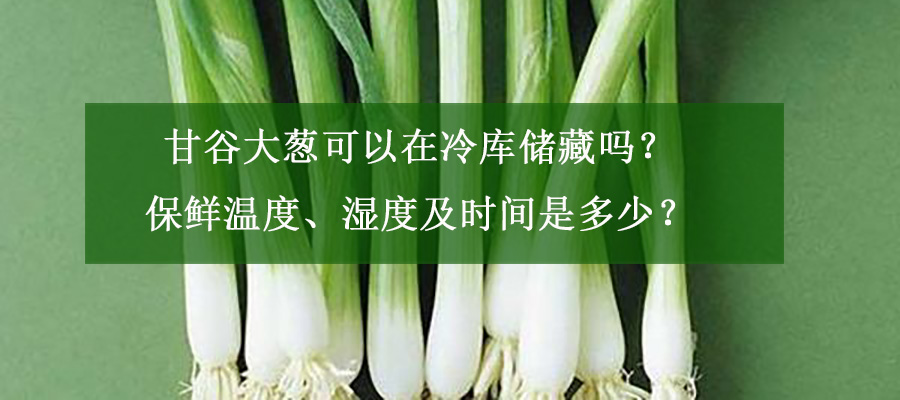 甘谷大蔥可以在冷庫(kù)儲(chǔ)藏嗎？保鮮溫度、濕度及時(shí)間是多少？