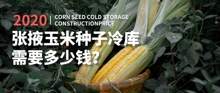 2020年建造張掖玉米種子冷庫(kù)需要多少錢(qián)？