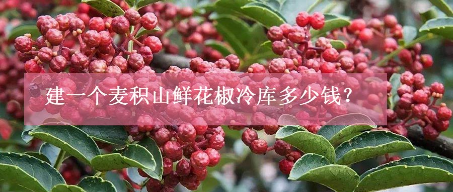 建一個(gè)麥積山鮮花椒冷庫(kù)多少錢？