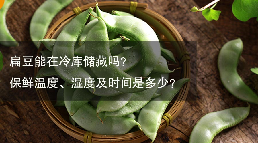 扁豆能在冷庫(kù)儲(chǔ)藏嗎？保鮮溫度、濕度及時(shí)間是多少？