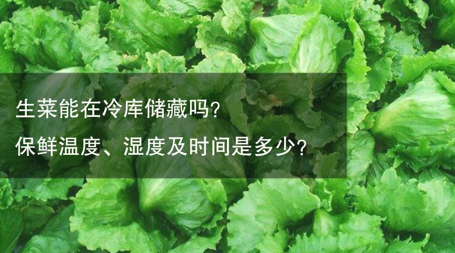 生菜能在冷庫(kù)儲(chǔ)藏嗎？保鮮溫度、濕度及時(shí)間是多少？