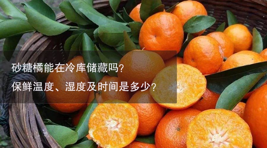 砂糖橘冷庫(kù)溫度、濕度及時(shí)間介紹