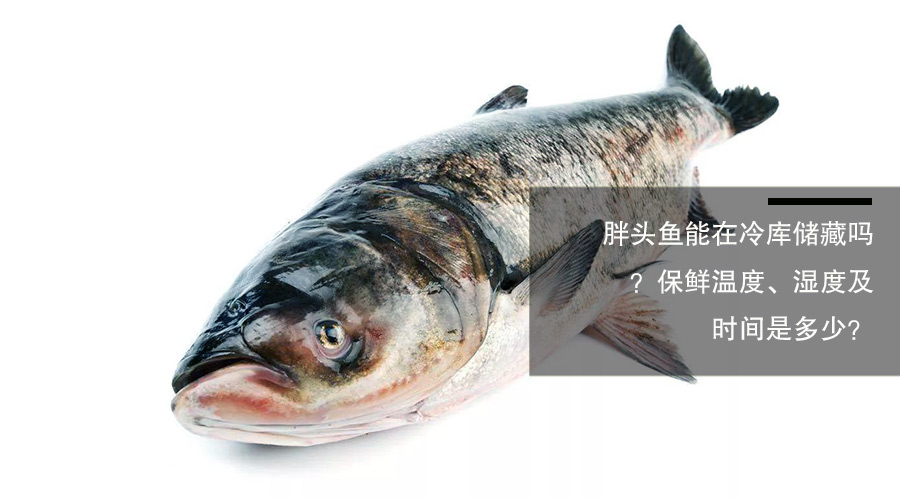 胖頭魚（鳙魚）冷庫儲藏溫度、相對濕度及貯藏時間介紹