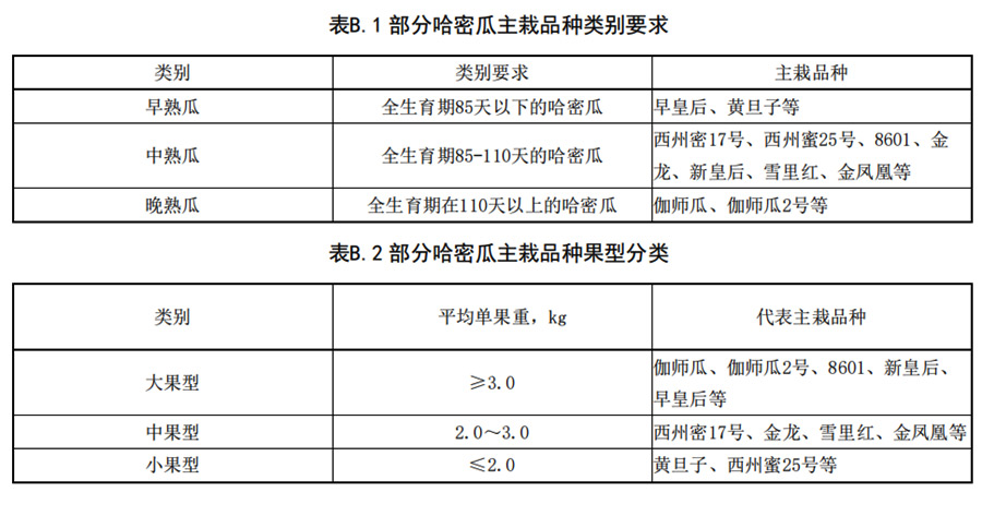 哈密瓜早、中、熟瓜和大中型瓜的分類要求