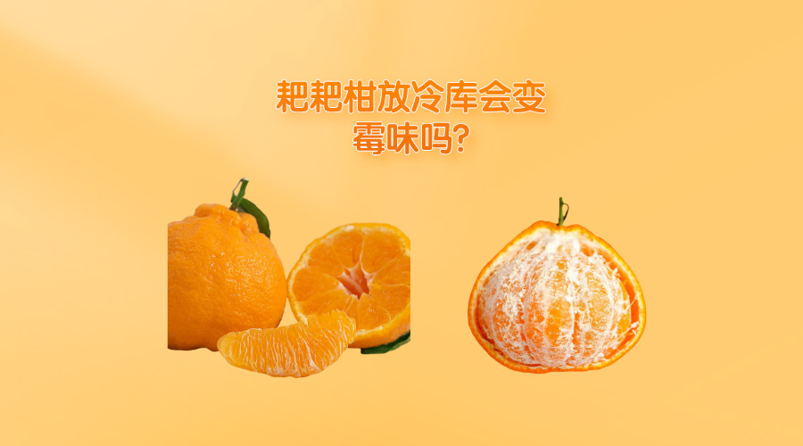 耙耙柑放冷庫(kù)會(huì)變霉味嗎?