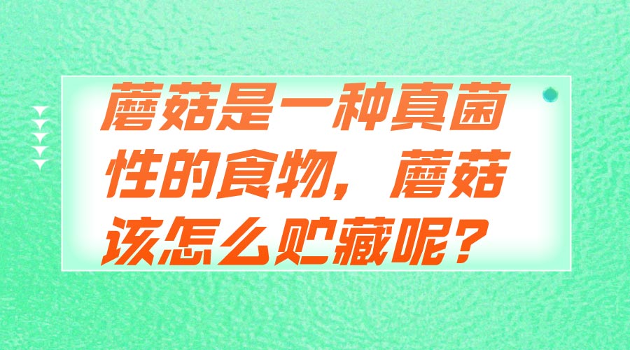 蘑菇是一種真菌性的食物，蘑菇該怎么貯藏呢？