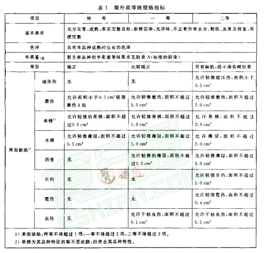 雪梨放冷庫前標(biāo)準(zhǔn)