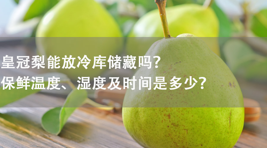 皇冠梨能在冷庫(kù)儲(chǔ)藏嗎？保鮮溫度、濕度及時(shí)間是多少？