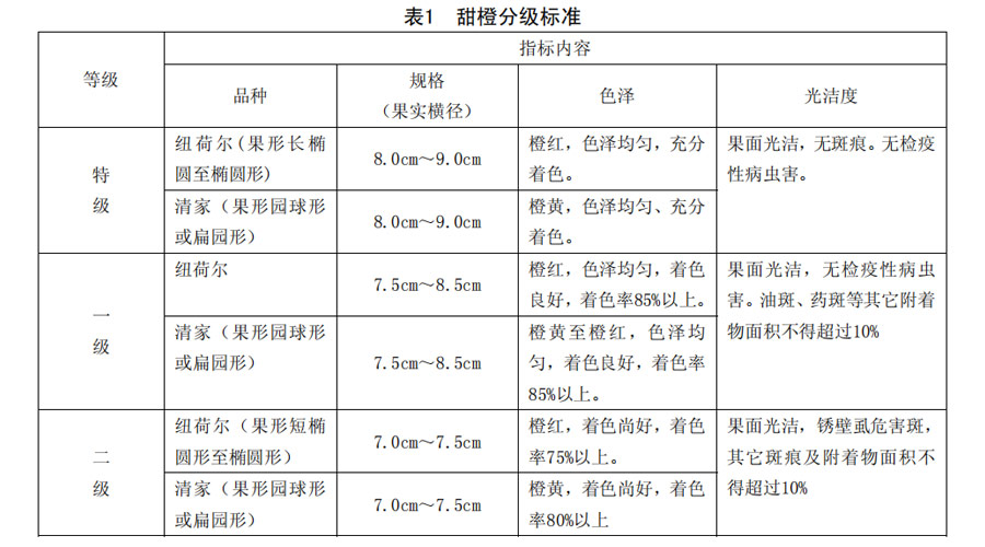 橙子分級(jí)標(biāo)準(zhǔn)