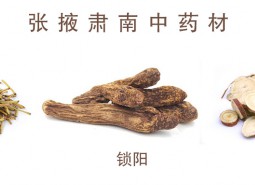 肅南中藥材650平米中藥材冷庫設(shè)計工程方案