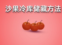 沙果（花紅）冷庫(kù)存儲(chǔ)方法詳解，保鮮時(shí)間6個(gè)月！