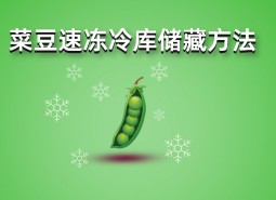 四季豆（菜豆）速凍冷庫儲藏方法詳解，保鮮時間1年不變質(zhì)！