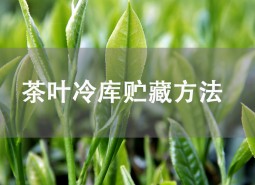 茶葉貯藏方法是什么？茶葉冷庫儲存介紹！