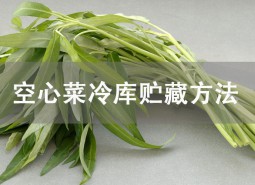 空心菜冷庫貯藏方法詳解！這樣貯藏可保鮮1個月！